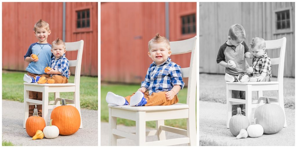 little brothers posing for photos with pumpkins