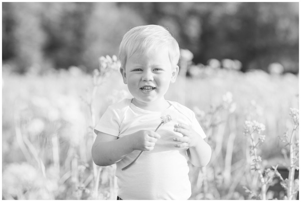 boy holding a flower in a field for birthday photos in Ohio