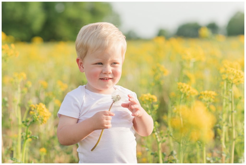 boy holding a flower in a yellow field in Ohio