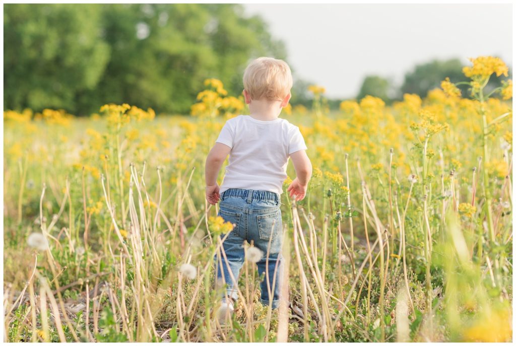 boy walking away in a yellow field