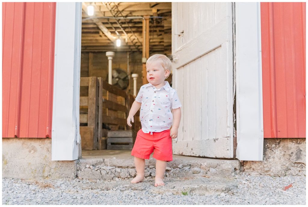 boy posing for two year old birthday photos in Ohio