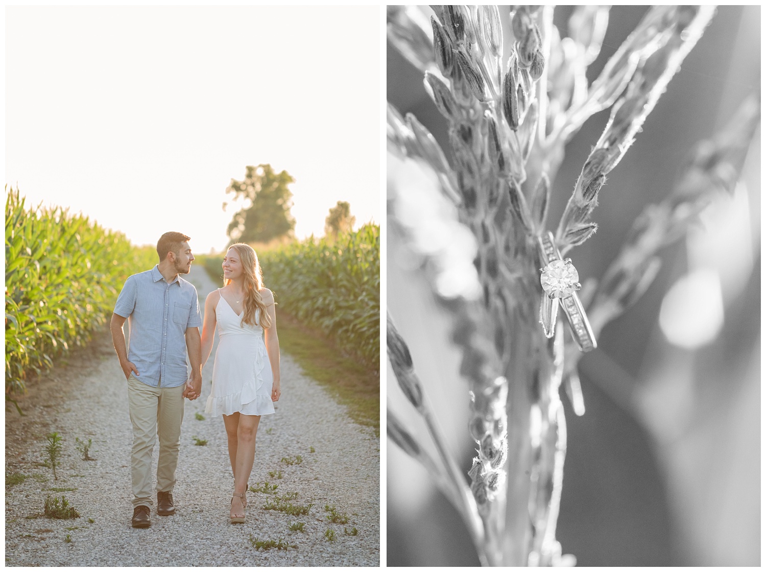 couple walking next to a corn field in Green Springs, Ohio