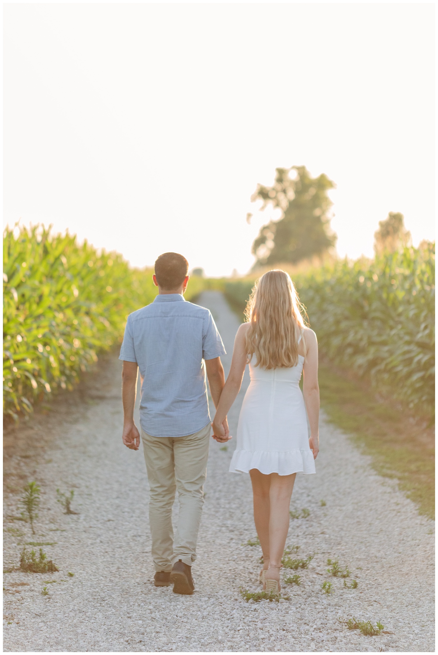 couple walking away holding hands next to a corn field in Ohio