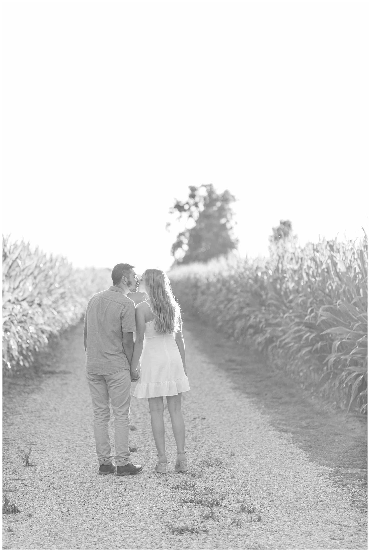 couple kissing next to a corn field in Green Springs, Ohio