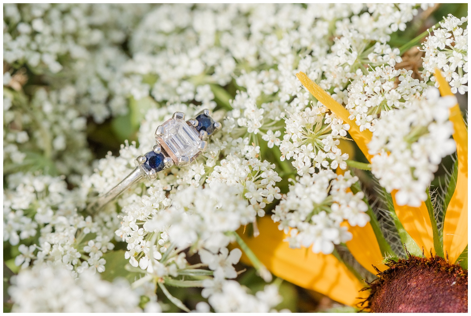 engagement ring sitting on white flowers in a field in Ohio