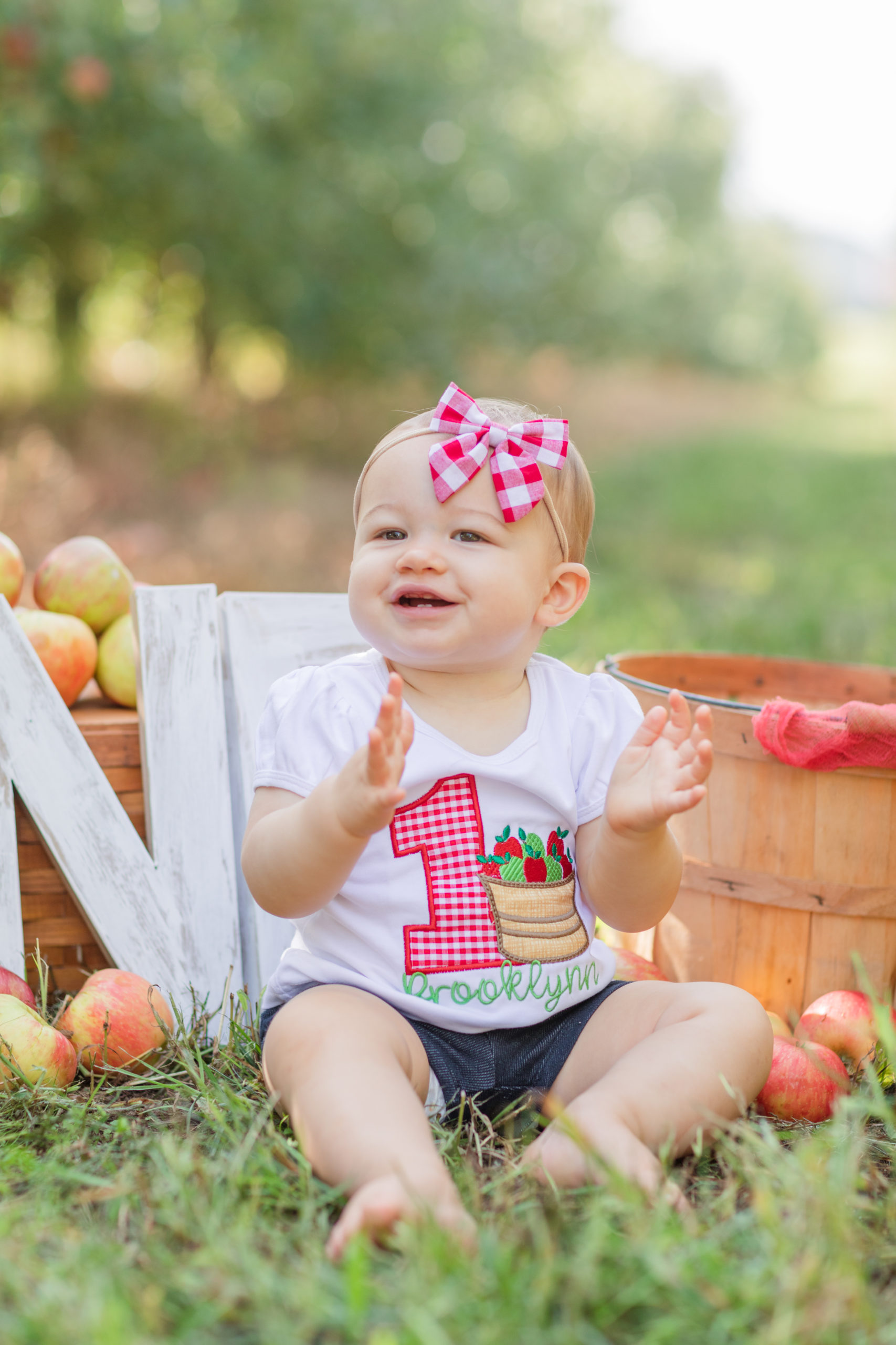 toddler sitting on an apple orchard for birthday session