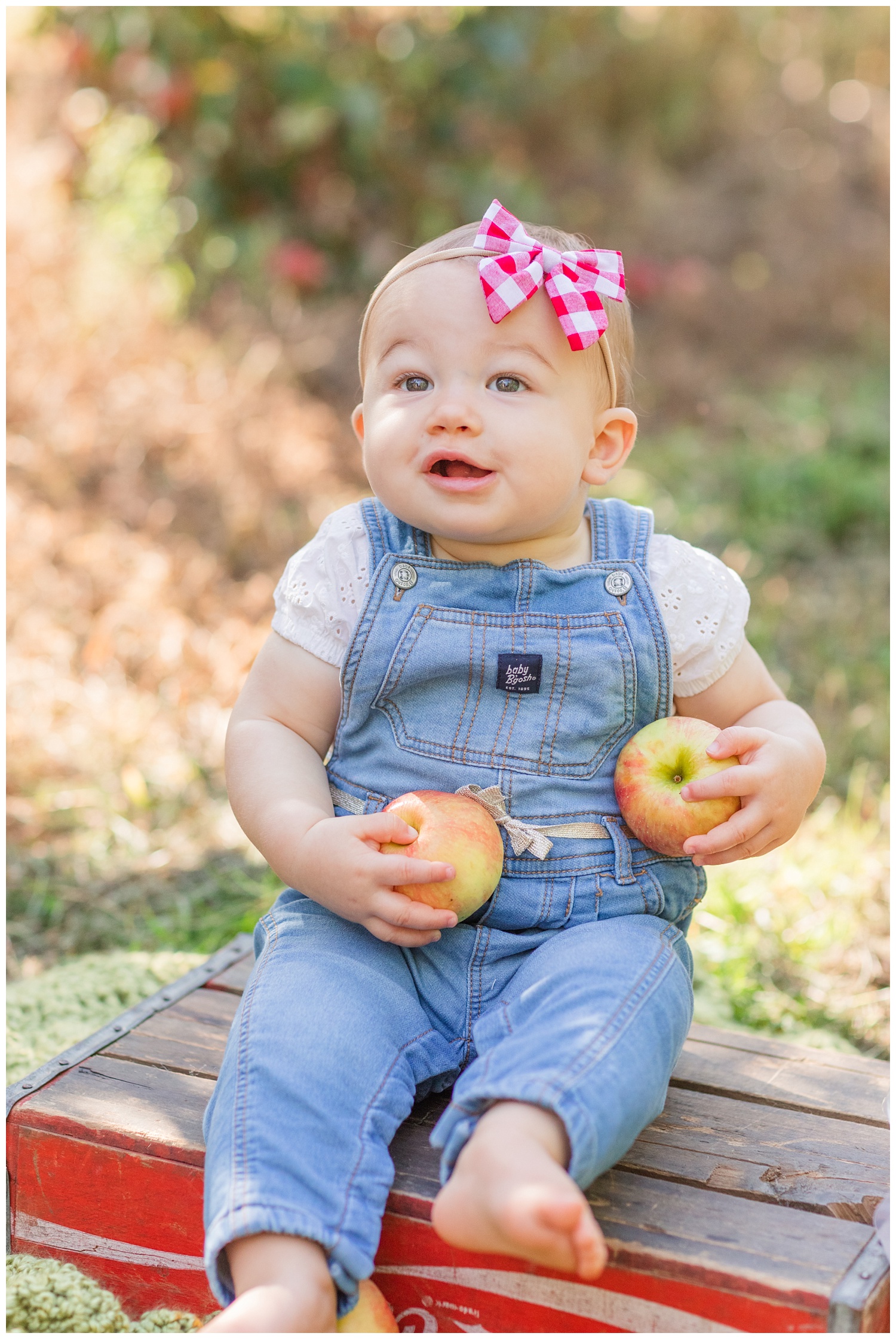 little girl holding apples at the Eshleman Fruit Farm
