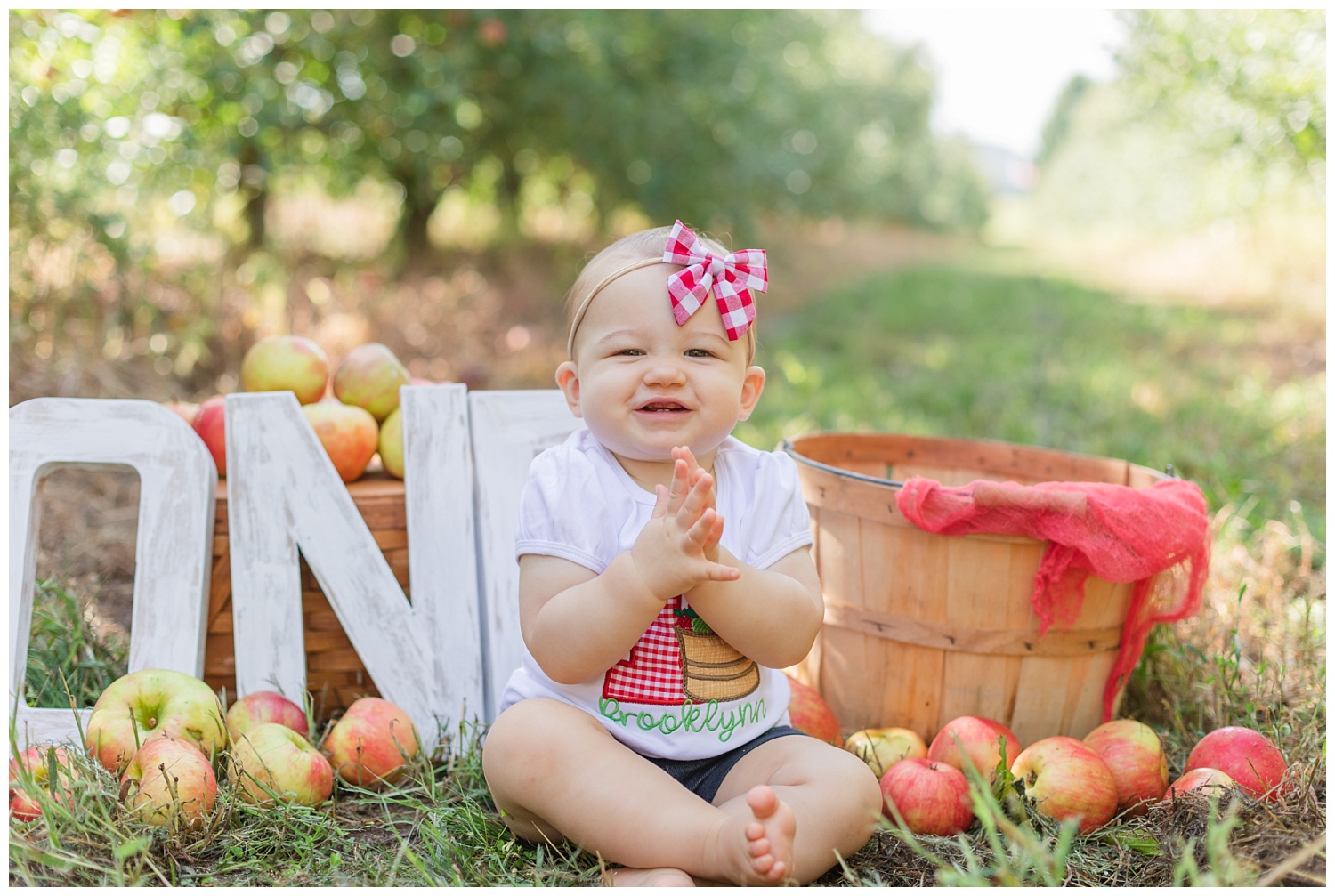 1st birthday cake smash session at apple orchard in Clyde, Ohio