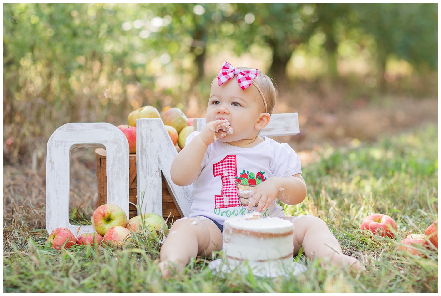 cake smash session for 1st birthday in Clyde, Ohio