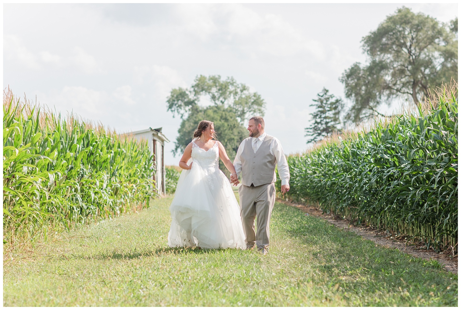 wedding couple walking through corn fields