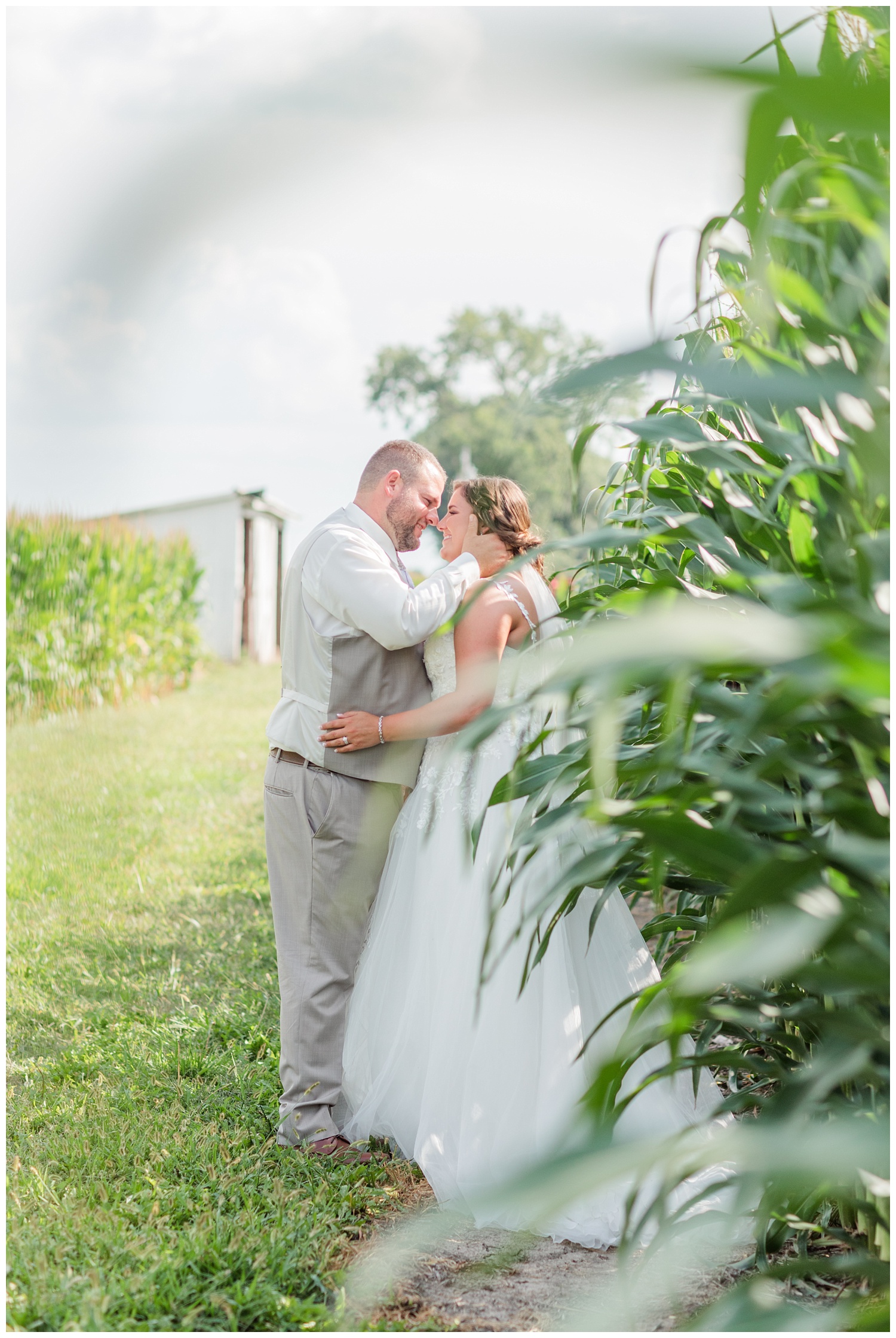 bride and groom posing next to corn stalks