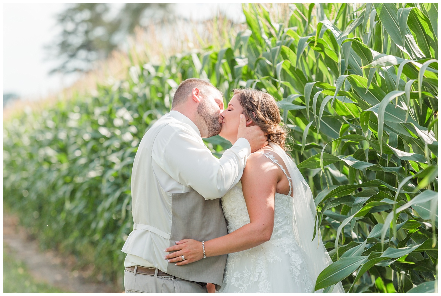bride and groom kissing next to corn stalks