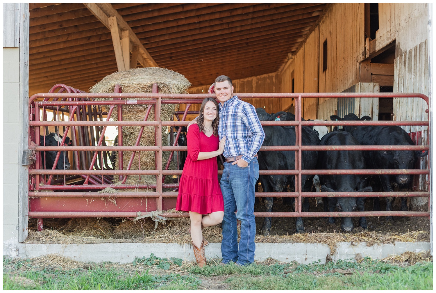 engaged couple standing in front of a cow barn in Ohio