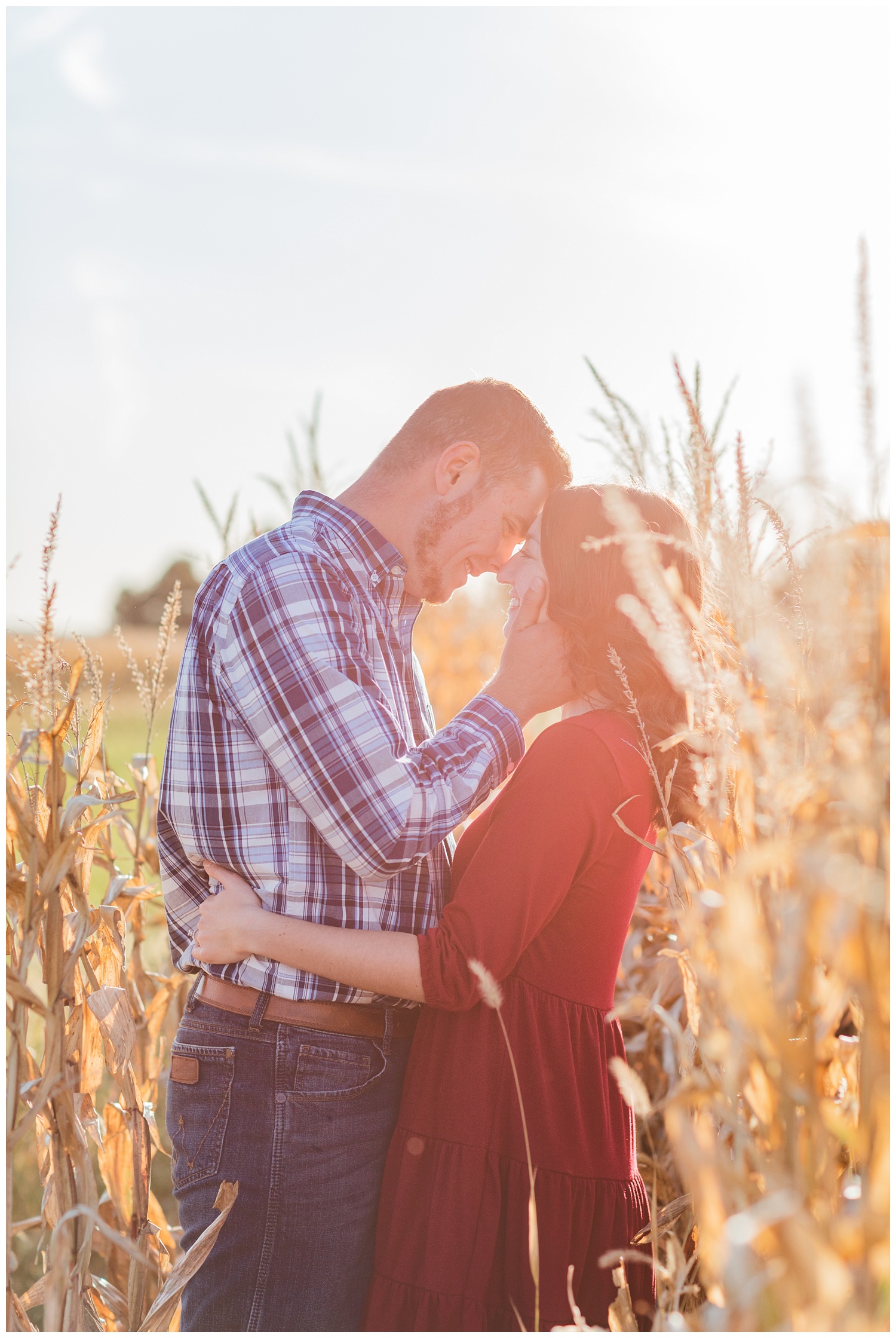 engaged couple standing in a corn field in northwest Ohio