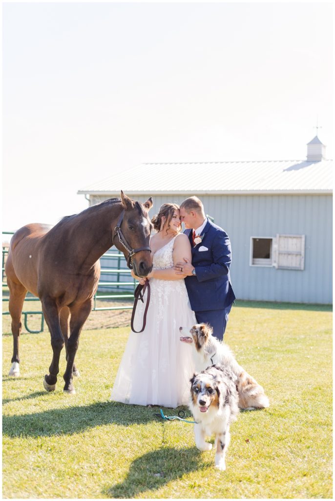 bride and groom posing with horses and their dogs before the wedding in Fostoria, Ohio