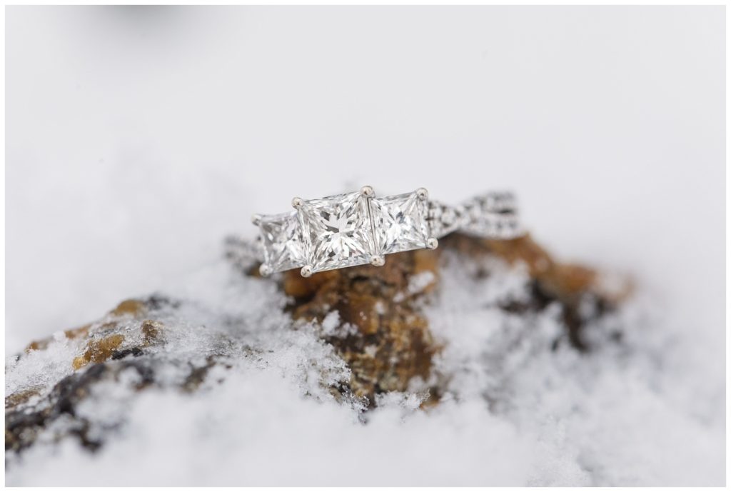 engagement ring sitting on a pine cone in the snow in Ohio