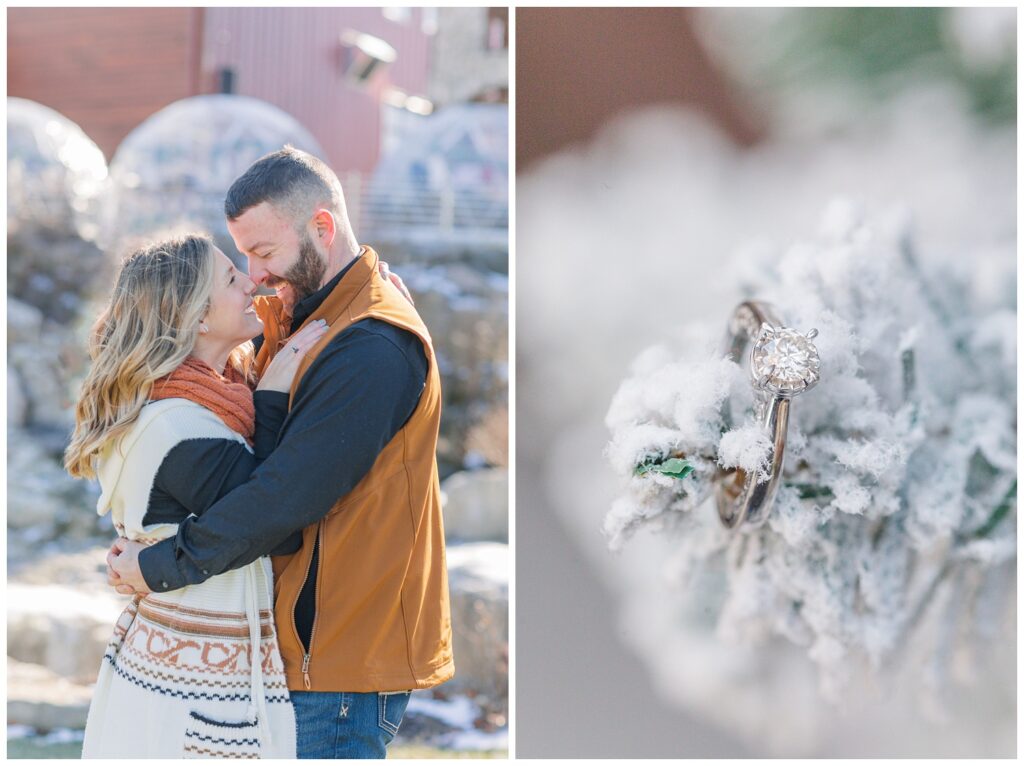 engagement ring sitting on top of a snowy plant