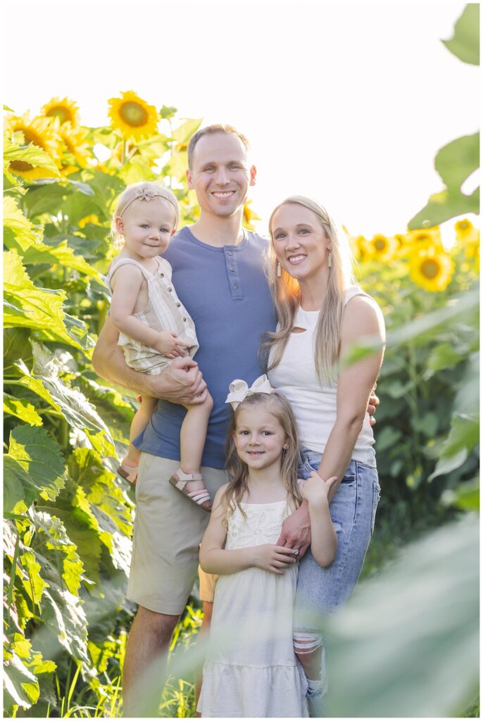 summer sunflower session at a farm in Lindsey, Ohio