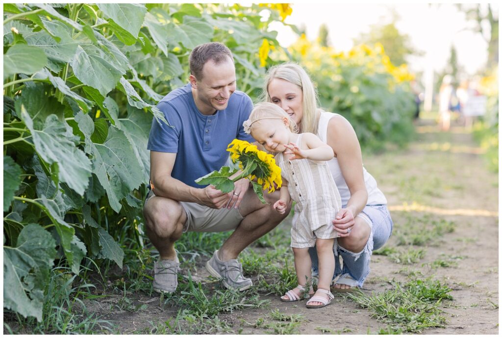 Lindsey, Ohio sunflower farm family session