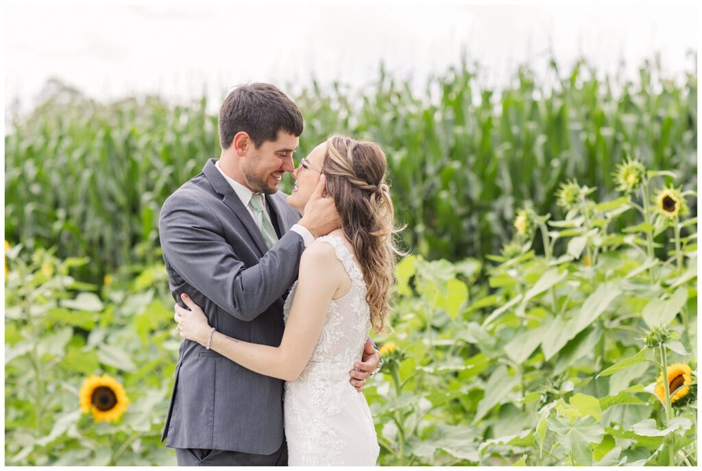 couple smiling in front of a sunflower and corn field in Tiffin, Ohio