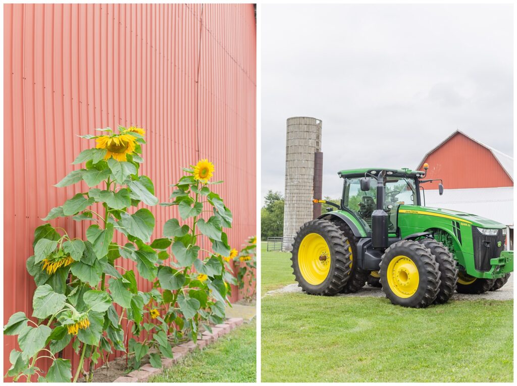 sunflowers and green tractor at bride's farm in northwest Ohio