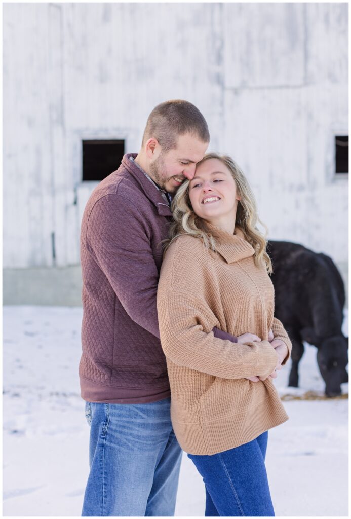 couple hugging in front of a white barn and black cows at Fremont, Ohio farm