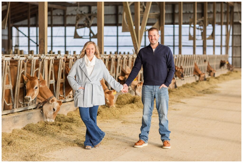 couple posing inside a barn with cows at Fremont, Ohio engagement session