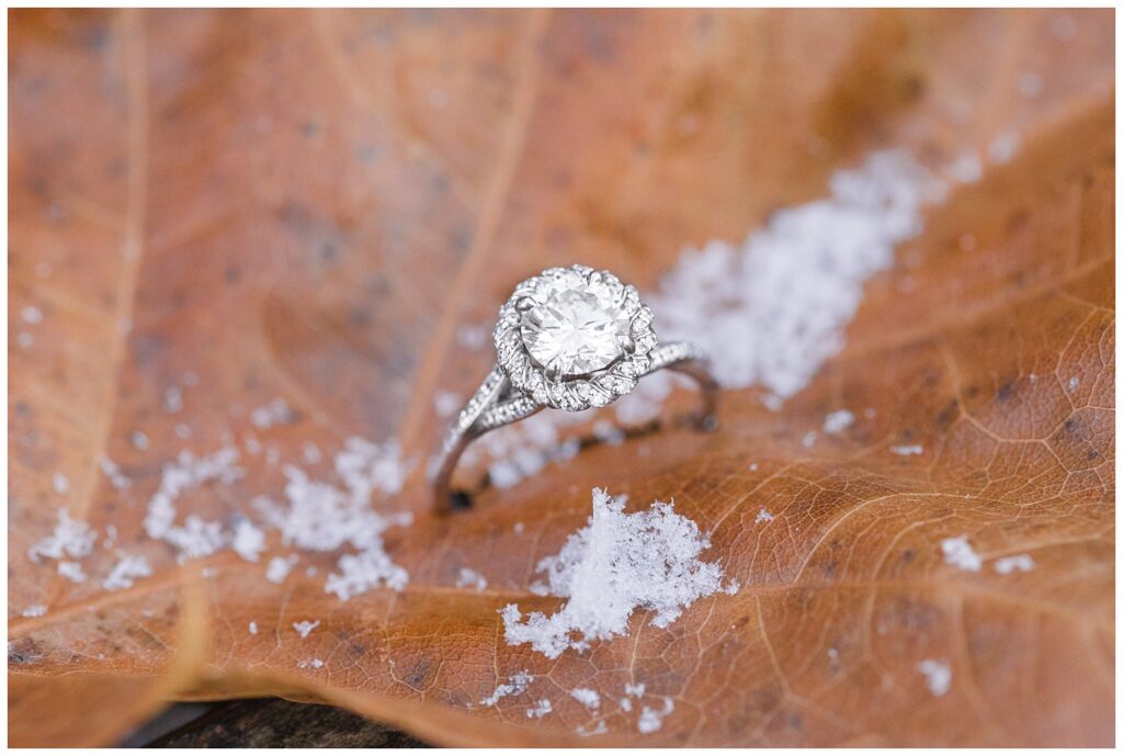 white gold and diamond engagement ring sitting in a brown leaf with snow 