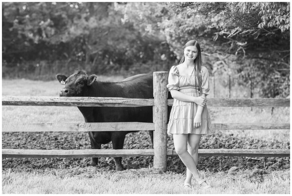 Sandusky, Ohio senior session with a cow