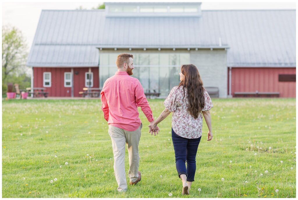 couple walking away holding hands towards a red barn in Lindsey, Ohio