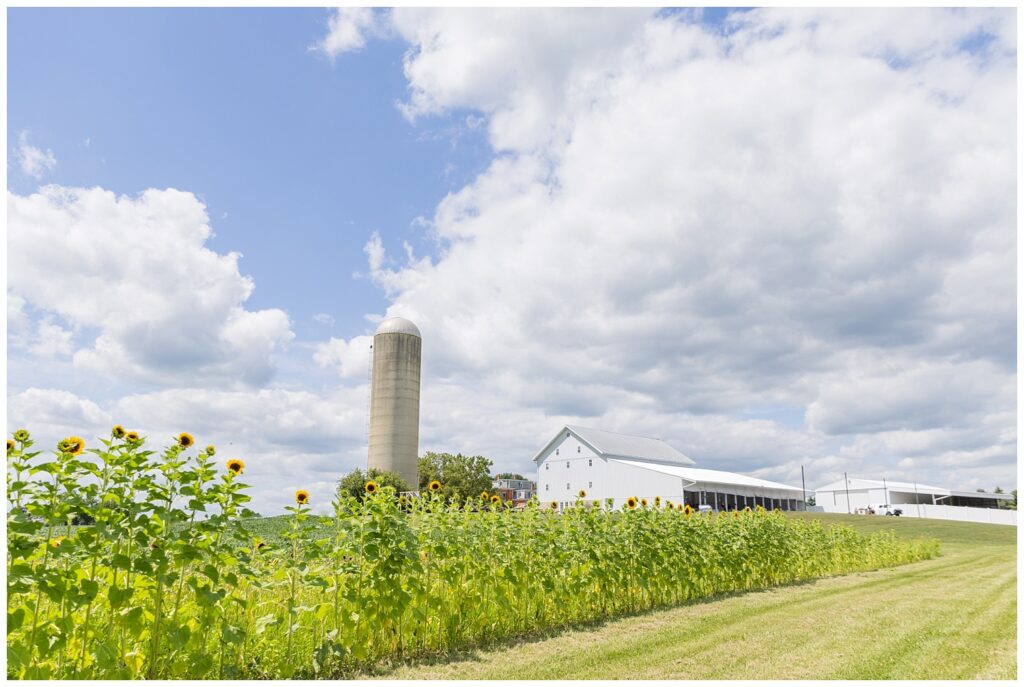 sunflowers and outside view of Arlington Acres wedding venue in Tiffin, Ohio