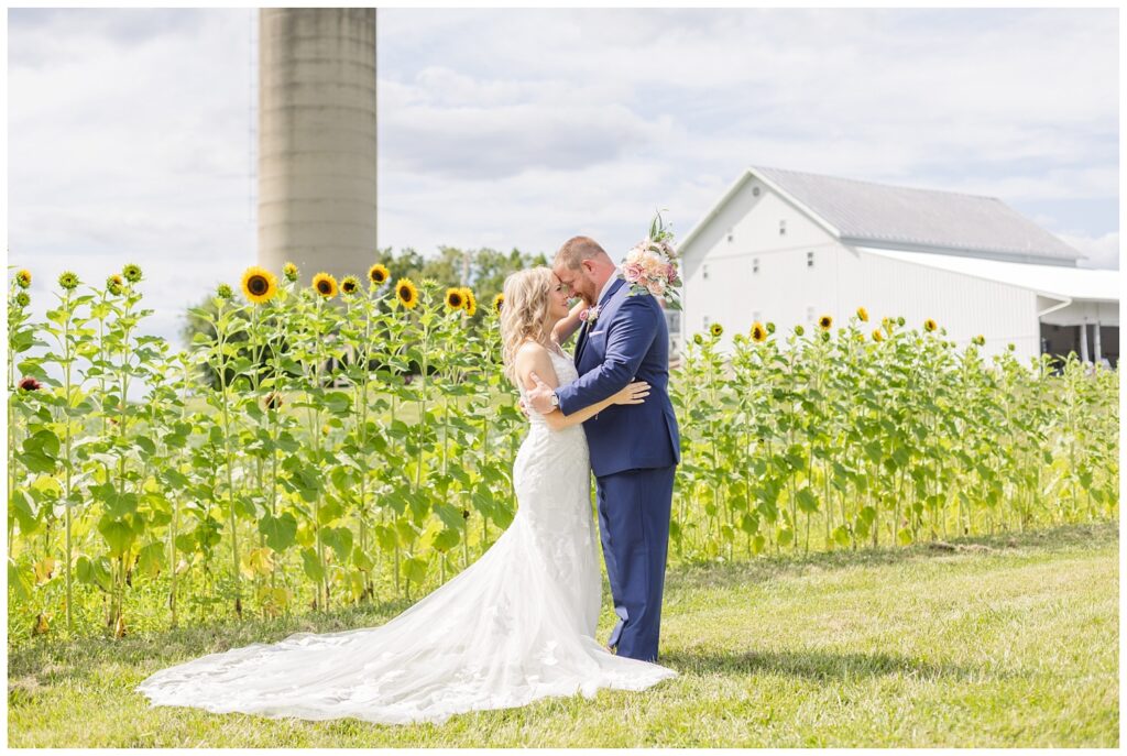 wedding couple posing in front of the sunflowers at Arlington Acres