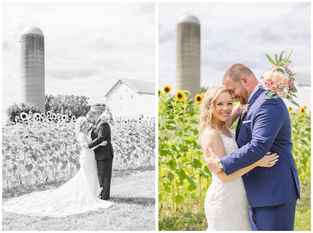 wedding couple posing in front of the sunflowers in Tiffin, Ohio