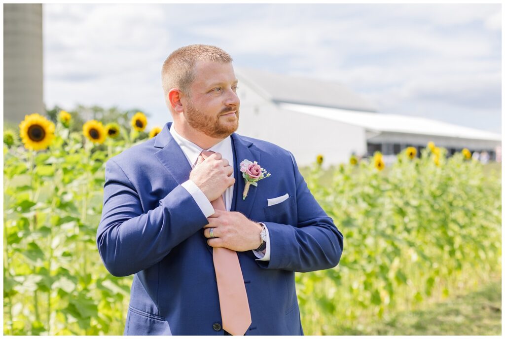 groom adjusting his tie in front of sunflowers at Arlington Acres