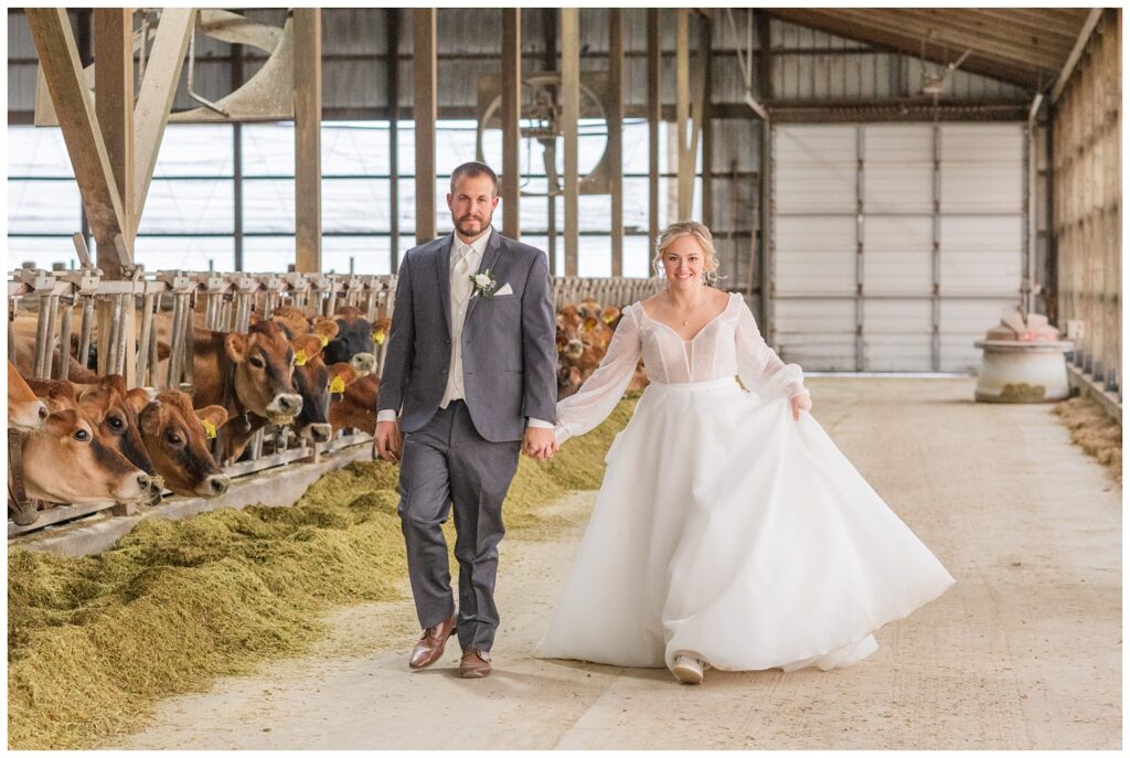 bride and groom walking together inside the jersey cow barn in Fremont, Ohio