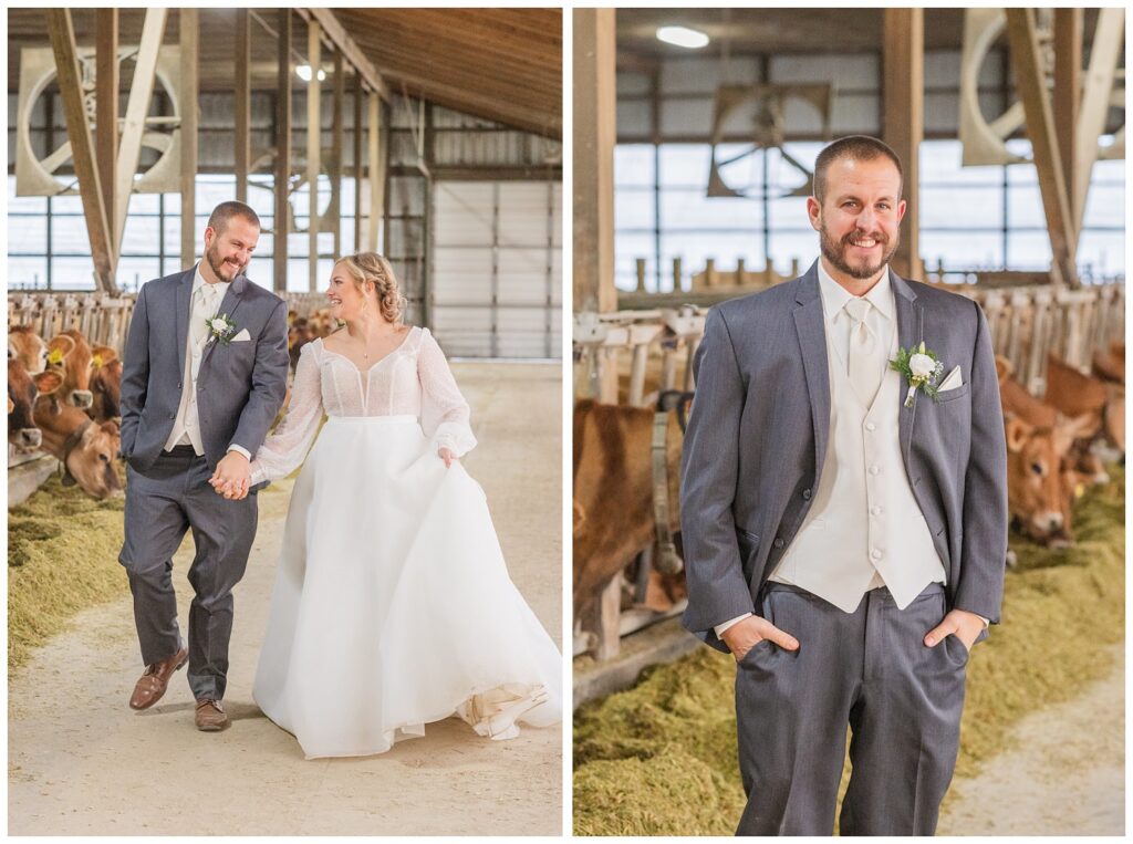 groom posing with his hands in his pockets in front of Jersey cows 