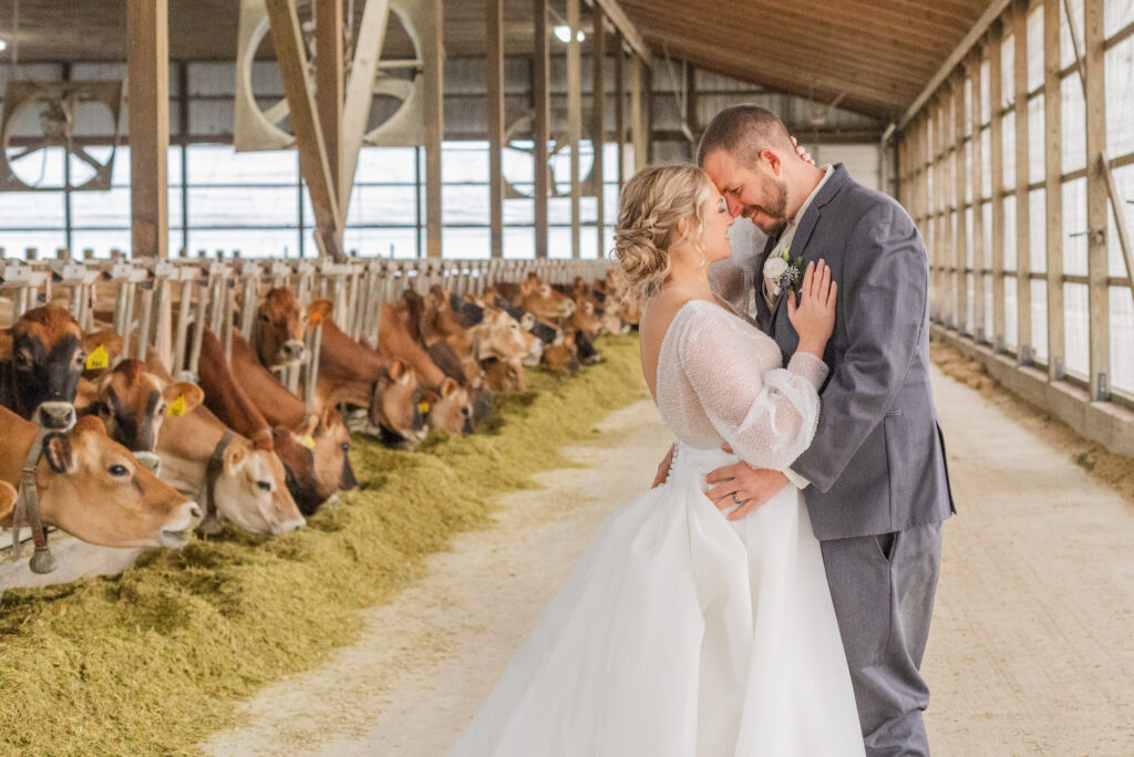 wedding couple posing for portraits inside a cow barn in Fremont, Ohio