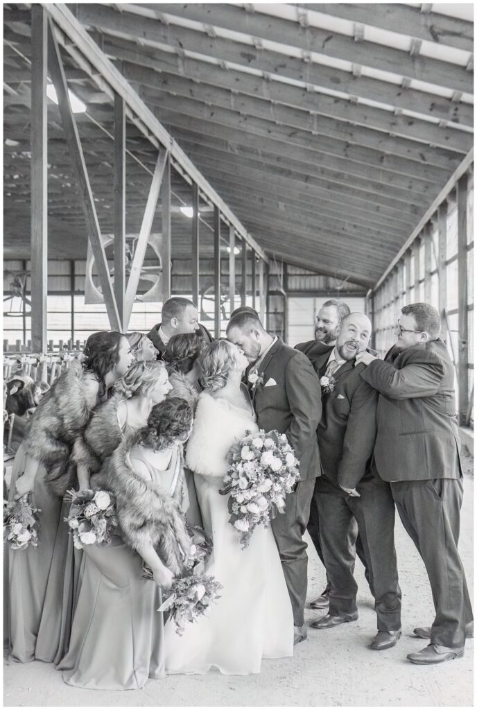 bride and groom kiss while the wedding party gathered around next to cows 