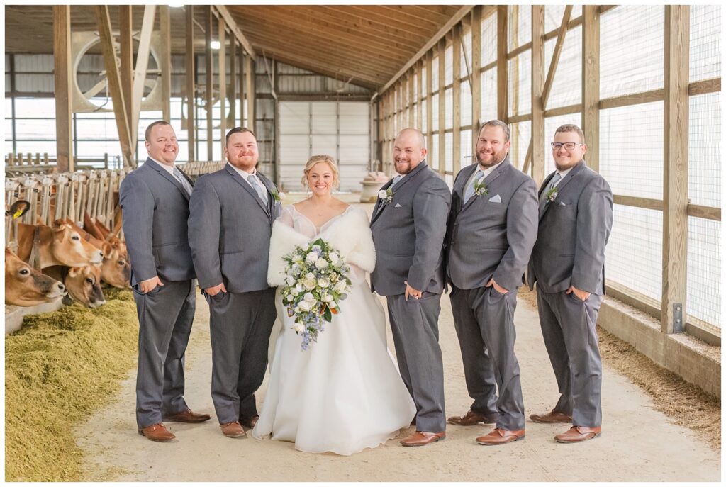 bride posing with the groomsmen inside the Jersey cow barn