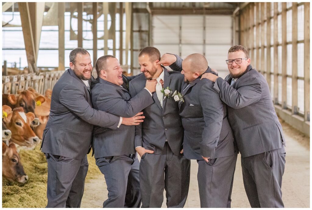 groomsmen posing with the groom at the family farm next to Jersey cows