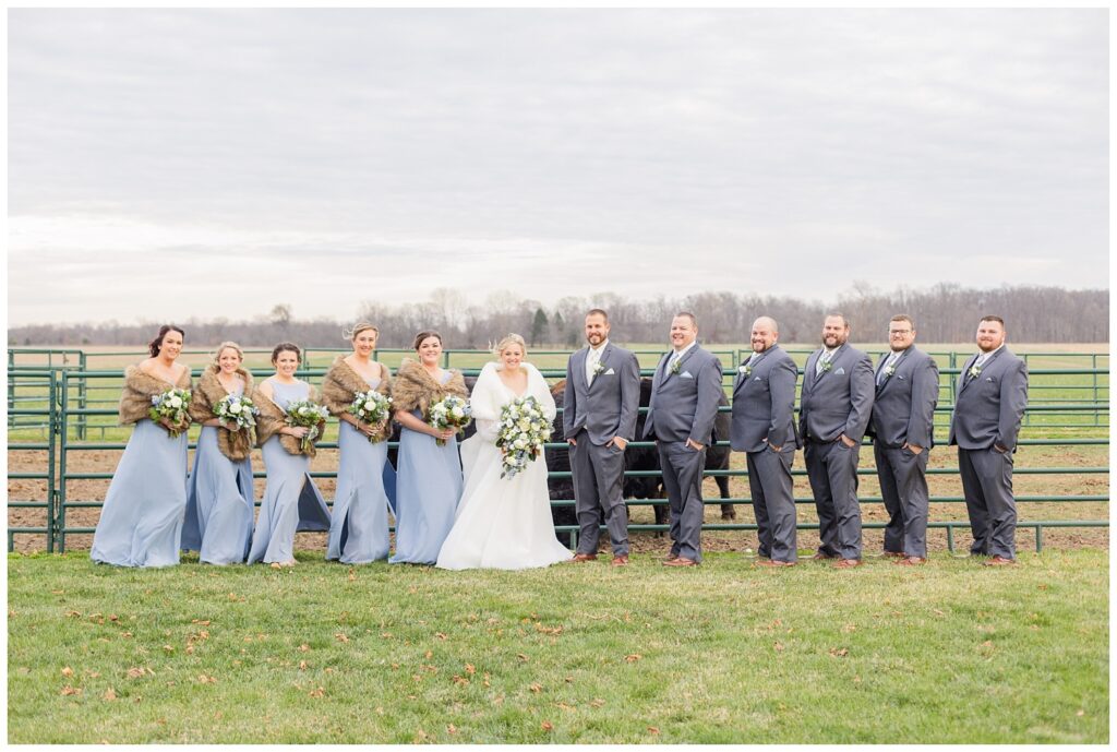 full wedding party posing in front of a green fence with cows