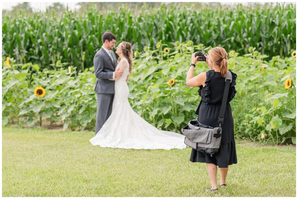 Photographer posing the bride and groom in front of sunflowers at Tiffin, Ohio wedding