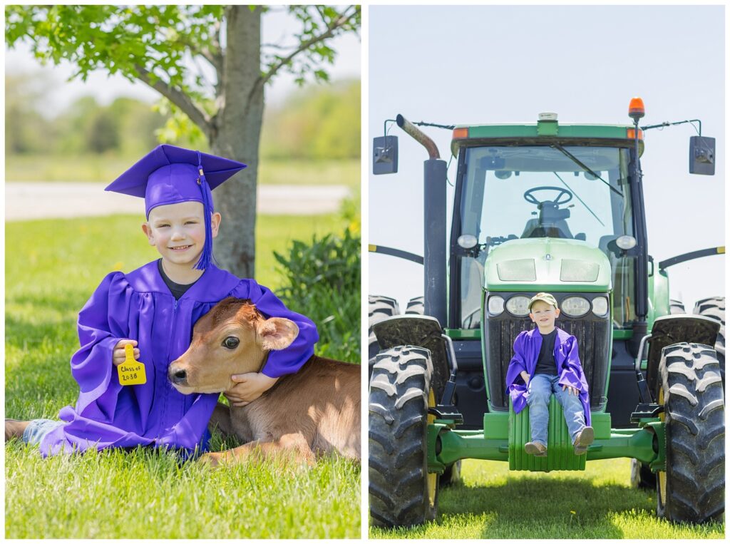 preschool graduate hugging a baby cow at mini session in Fremont, Ohio