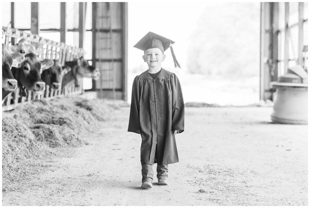 boy wearing a cap and gown inside a barn with cows in Sandusky, Ohio