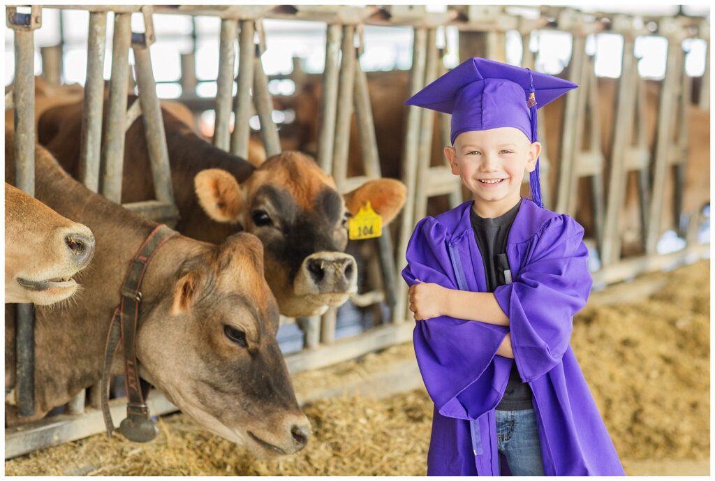 boy wearing a cap and gown inside a barn with cows in Sandusky, Ohio
