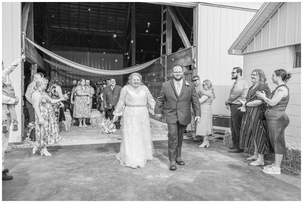 bride and groom make their exit from their barn wedding in Risingsun, Ohio