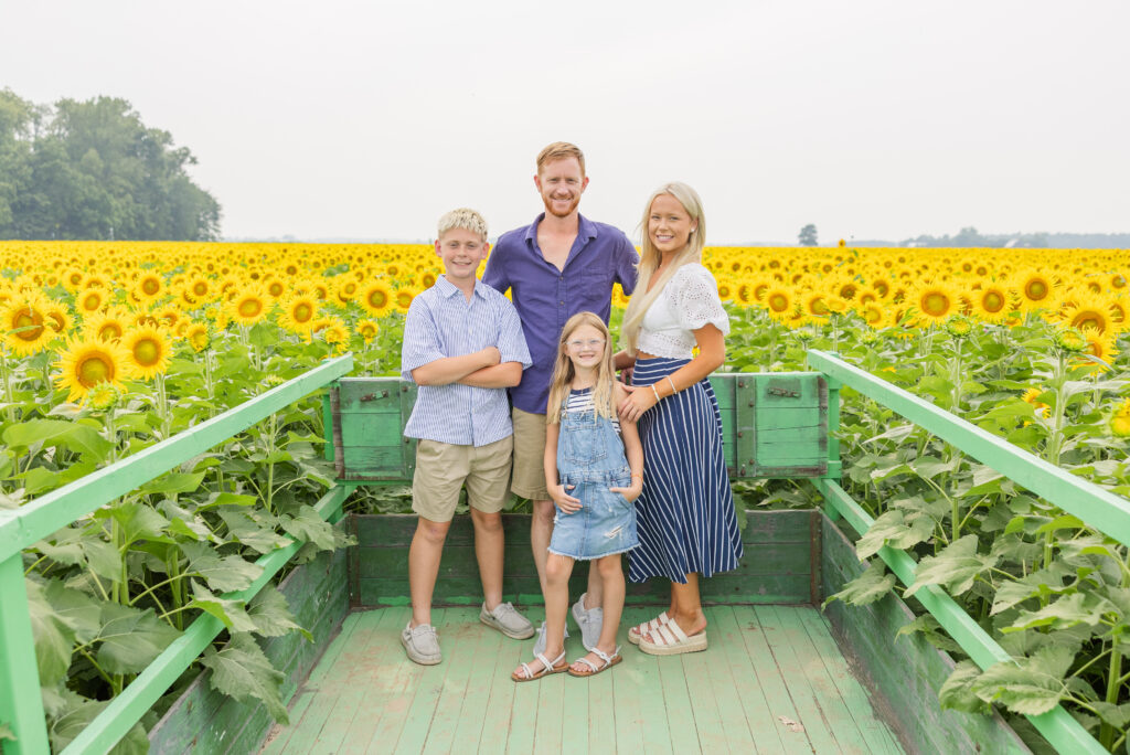 colorful sunflower mini sessions in Lindsey, Ohio