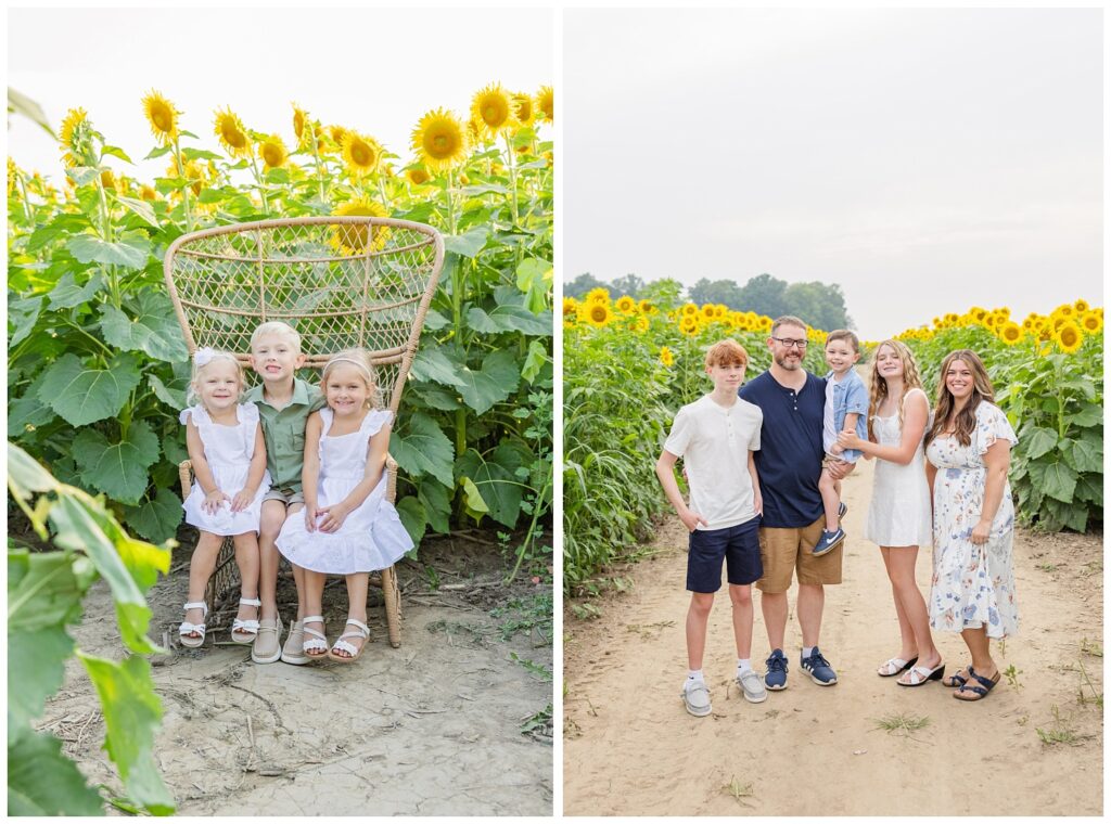 two brothers and a sister sitting in a large chair in a sunflower field in Ohio