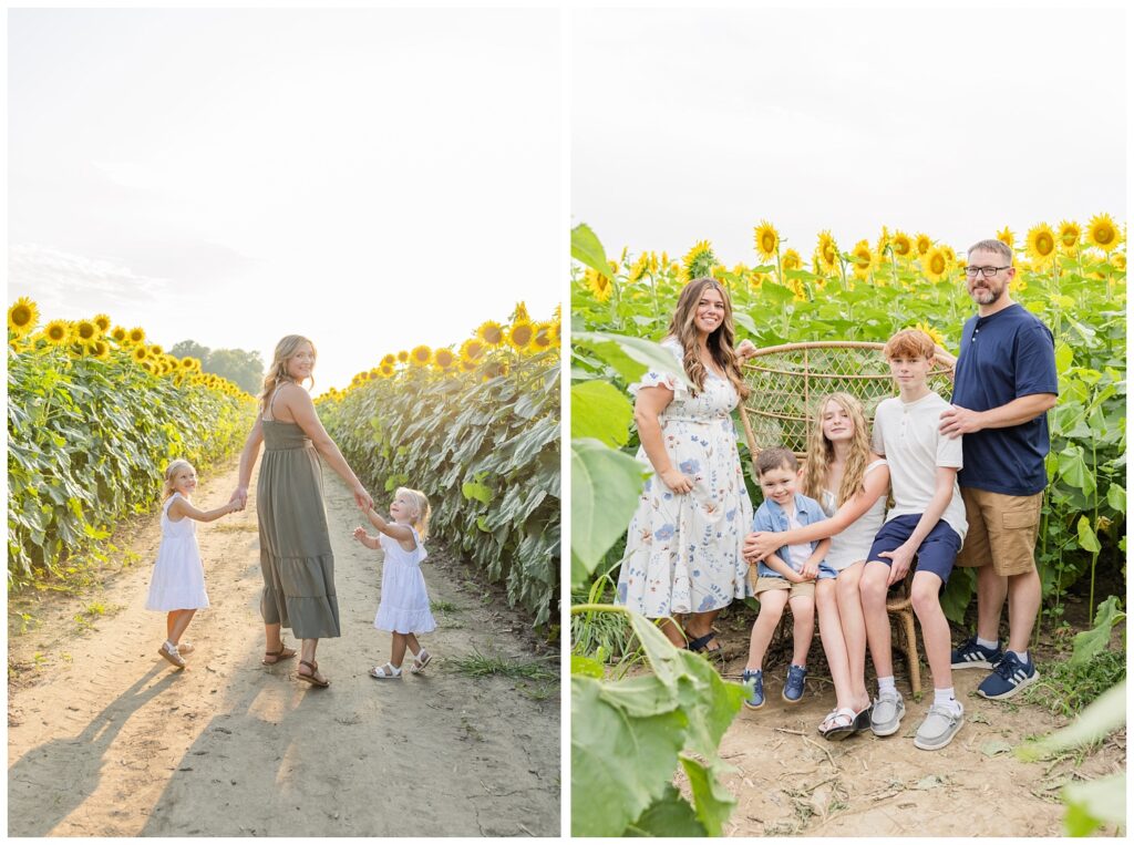mom walking with her daughters in between the sunflowers at Lindsey, Ohio farm
