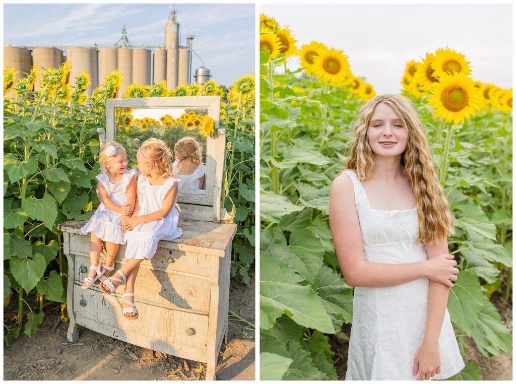 sunflower mini sessions at Lindsey, Ohio farm